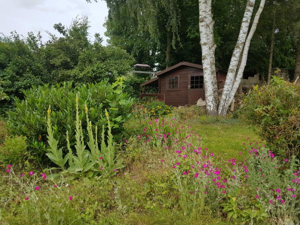 20180614_122928