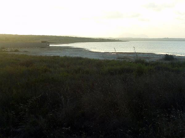 800px-LagunadelaMataRingPlantsSunset